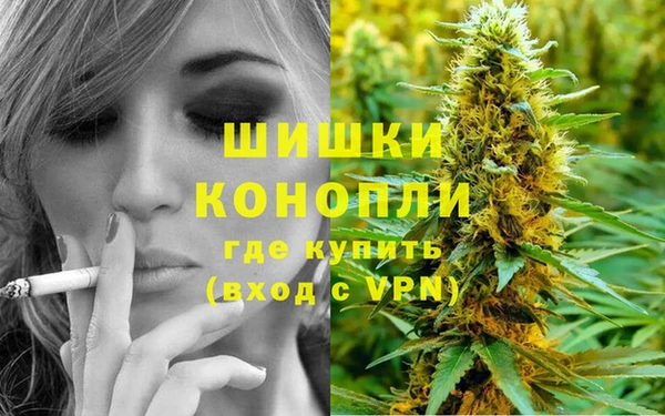 мет Арсеньев