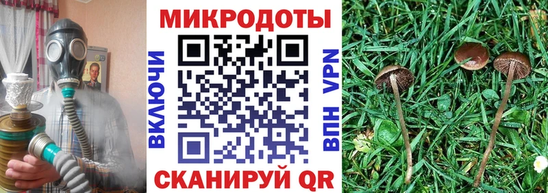 Галлюциногенные грибы ЛСД  Краснослободск 